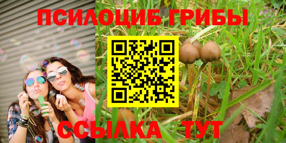 Красный Сулин  Галлюциногенные грибы GOLDEN TEACHER  Вход с VPN  Псилоцибиновые грибы MAGIC MUSHROOMS 