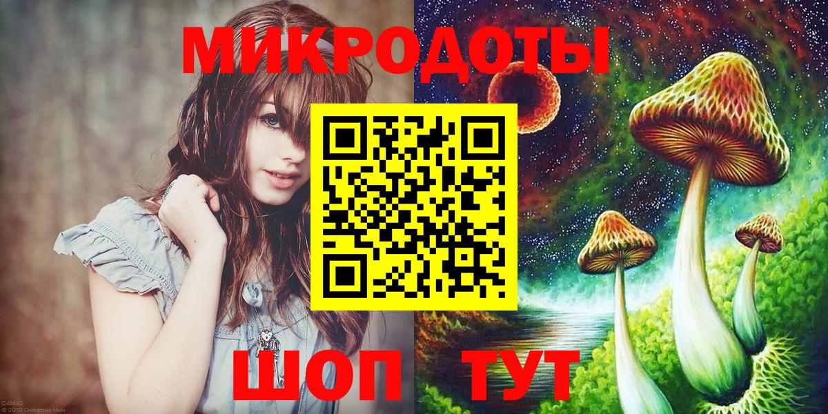 Галлюциногенные грибы Psilocybine cubensis Красный Сулин